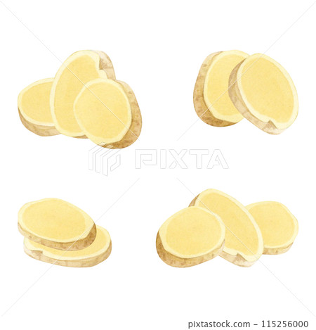 Chopped ginger root slices watercolor illustration set isolated on white background for spicy healthy organic products. Traditional medicine ingredient for immunity and hot drinks 115256000