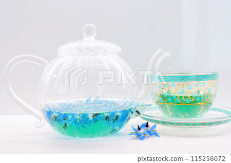 藍色琉璃苣草本茶和罐花和土耳其玻璃茶杯，白色背景 115256072