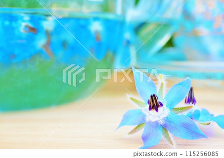 Close-up of blue borage herbal tea and flowers in a clear glass pot on a desk Close-up of blue borage herbal tea and flowers in a clear glass pot on a desk 115256085