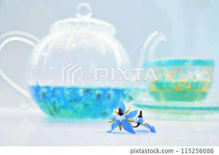 神奇的涼茶,從藍色琉璃苣花、白色背景改變顏色 神奇的涼茶,從藍色琉璃苣花、白色背景改變顏色 115256086
