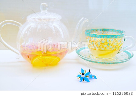 白色背景中壺杯中檸檬變色的粉紅色琉璃苣草本茶和藍色花朵 白色背景中壺杯中檸檬變色的粉紅色琉璃苣草本茶和藍色花朵 115256088