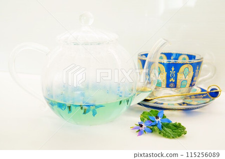 白色背景玻璃壺中製備的琉璃苣花藍色涼茶 白色背景玻璃壺中製備的琉璃苣花藍色涼茶 115256089