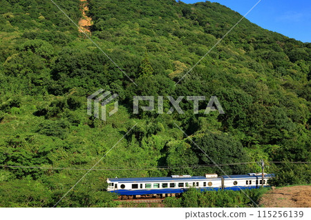 Tourist trains and more that run through lush nature 115256139