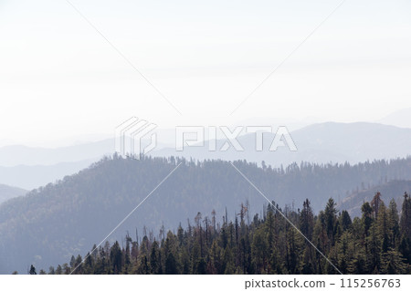 Mountain landscape in Yosemite National Park 115256763