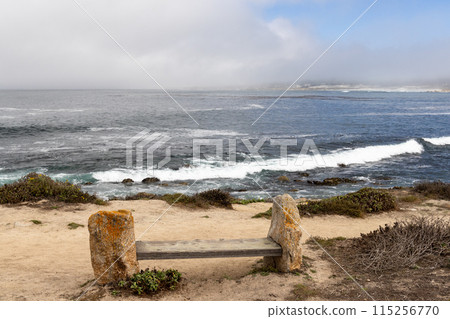 Coastal landscape in California 115256770