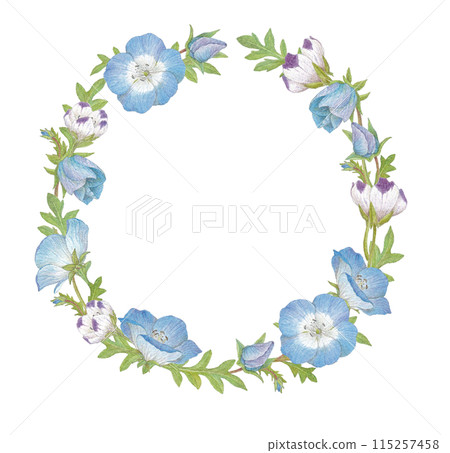 Nemophila wreath watercolor illustration 115257458