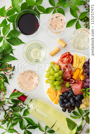 Outdoor wine tasting 115257471