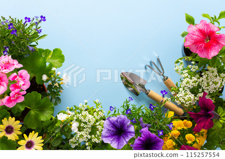 Spring decoration of a home balcony 115257554