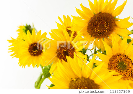 Summer rustic bouquet 115257569