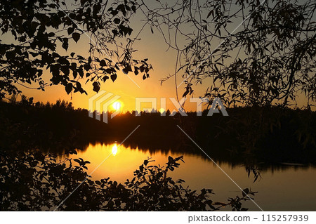 sunset at lake with sun down over tree silhouettes on horizon sunset at lake with sun down over tree silhouettes on horizon 115257939
