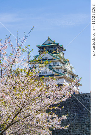【春天的大阪城公園】大阪城天守閣和櫻花 115258268