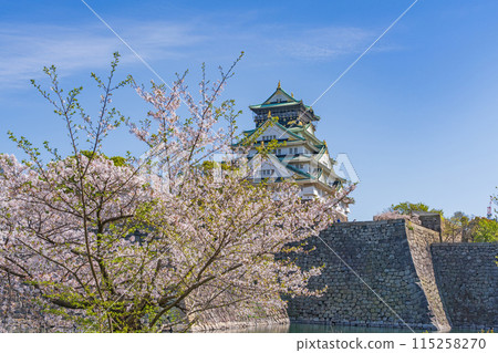 [Osaka Castle Park in Spring] Osaka Castle Tower and Cherry Blossoms 115258270