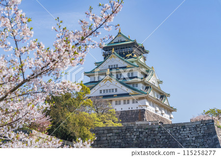 [Osaka Castle Park in Spring] Osaka Castle Tower and Cherry Blossoms 115258277