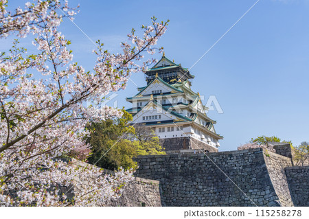 【春天的大阪城公園】大阪城天守閣和櫻花 【春天的大阪城公園】大阪城天守閣和櫻花 115258278
