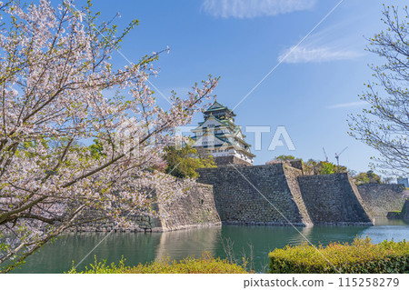 [Osaka Castle Park in Spring] Osaka Castle Tower and Cherry Blossoms 115258279