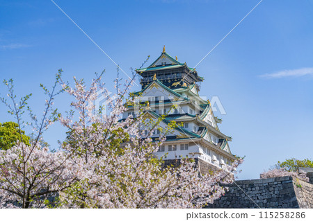 【春天的大阪城公園】大阪城天守閣和櫻花 115258286