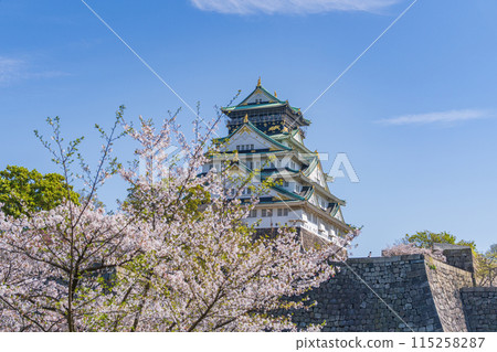 【春天的大阪城公園】大阪城天守閣和櫻花 115258287