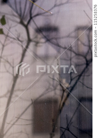 窗戶反射樹枝的影子,可以看到城市的景色 窗戶反射樹枝的影子,可以看到城市的景色 115258376