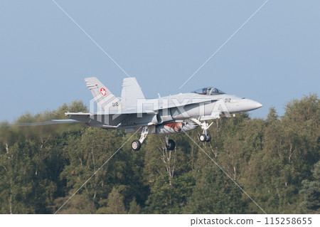 Swiss Air Force F/A-18C Hornet landing 115258655