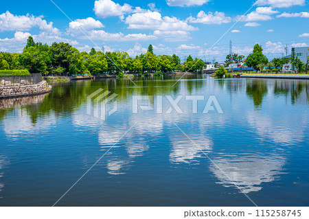 The reflection of the fresh green leaves against the blue sky is beautiful. 115258745