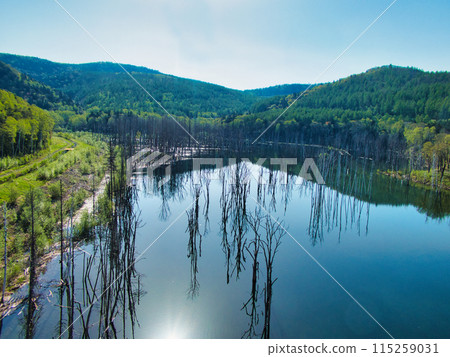 Spring landscape 115259031
