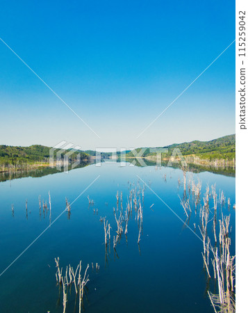 Spring landscape 115259042