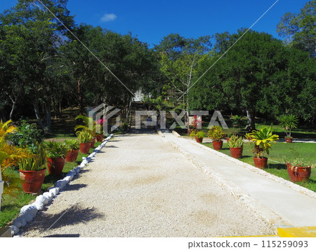 世界遺產，墨西哥合眾國，梅里達郊區，烏斯馬爾 26 115259093