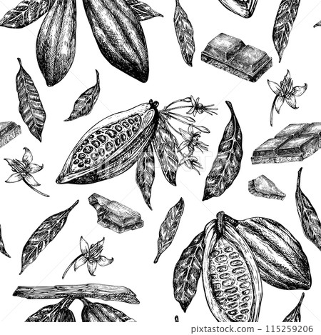 Seamless pattern with cocoa fruit and chocolate graphic illustration, hand drawn sketch of vegetable, leaves, flowers. Botanical drawing of tropical fruit. Engraving for food packaging design 115259206