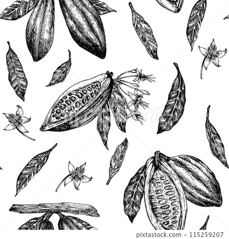 Seamless pattern with cocoa fruit graphic illustration, hand drawn sketch of vegetable, leaves, flowers. Botanical drawing of tropical fruit. Engraving for food packaging design 115259207