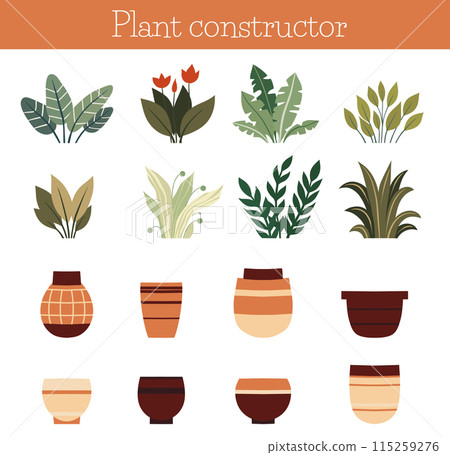 Vector set of flat home plants and clay pots isolated from background. Cozy plants and vases constructor. 115259276