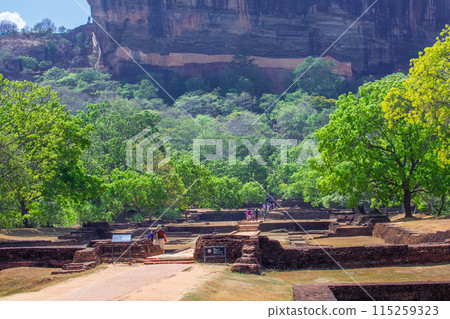 Sigiriya 115259323