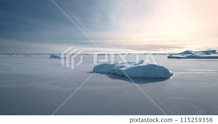 Breathtaking journey over frozen Antarctica landscape. Desert white land of snow and ice aerial drone shot. Several blue icebergs on ocean surface. Sunset sky. Discover the beauty of South Pole 115259356