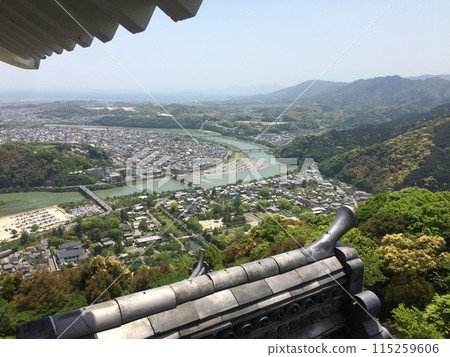 從岩國城眺望岩國市的街景 從岩國城眺望岩國市的街景 115259606