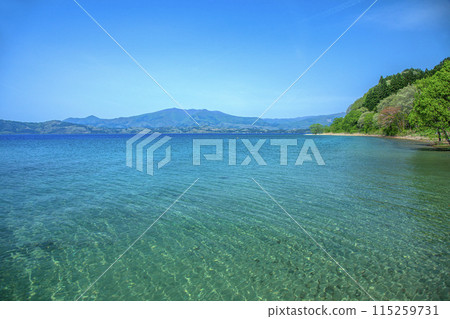 Spring Tazawako 115259731