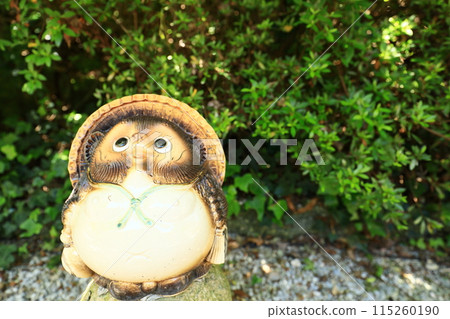 Raccoon drawing 115260190