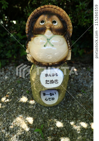 Raccoon drawing 115260359