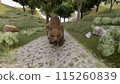 Mountain climbing: Attacked by a bear. A bear approaches on foot. Illustration CG. 115260839