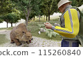 Mountain climbing: Attacked by a bear. A bear approaches on foot. Illustration CG. 115260840