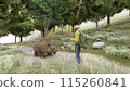 Mountain climbing: Attacked by a bear. A bear approaches on foot. Illustration CG. 115260841