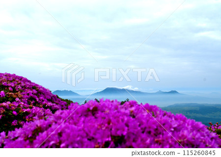 Miyamakirishi and the five peaks of Mount Aso floating in the sea of clouds Miyamakirishi and the five peaks of Mount Aso floating in the sea of clouds 115260845