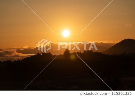 Golden sunrise over lonely iconic tree on hill in agricultural village at Switzerland 115261325