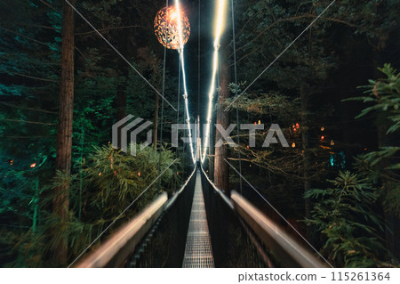 Asian female tourist strolling on suspension bridge in Redwood or Whakarewarewa forest with illuminated lighting in the night at New Zealand Asian female tourist strolling on suspension bridge in Redwood or Whakarewarewa forest with illuminated lighting in the night at New Zealand 115261364