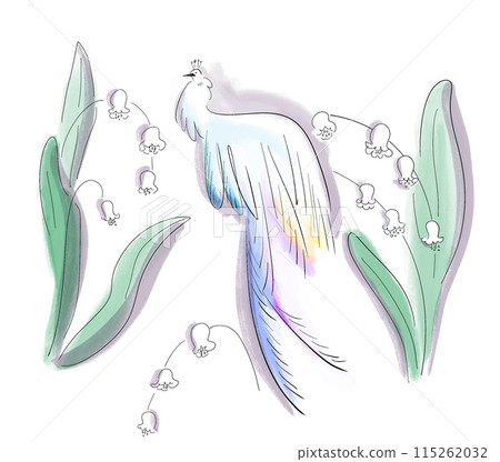 Transparent peacock illustration 115262032