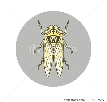 Illustration material of Niini Cicada Icon 115262547