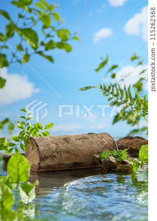 A brown log with blank space above for product presentation, placed on lakeside in jungles landscape. Advertising photo with frontal shot and space for text 115262568