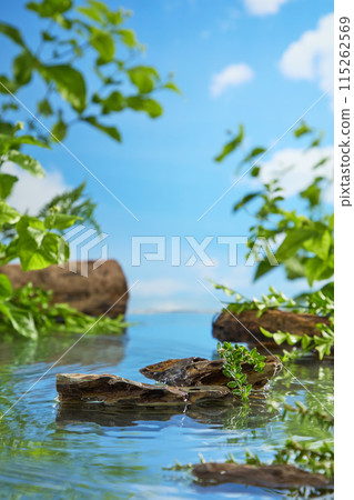 The promotional photo in the forest was taken from the front, with a clear lake and a few bare rocks protruding from the water. Blank pedestal for product displaying, copy space 115262569
