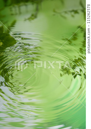 Photo taken from above on a lake surface with clear green color of leaves, with a few ripples. Minimalist style with green tones, empty space for product presentation 115262578