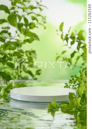 Creative photo in vertical frame was taken from front angle, an empty platform in white color placed in center of lake surface, on both sides decorated with green forest plants. Copy space for text Creative photo in vertical frame was taken from front angle, an empty platform in white color placed in center of lake surface, on both sides decorated with green forest plants. Copy space for text 115262589