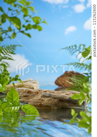 Front view photo template in a jungles lake, several stone platforms of varying sizes protrude from the water, surrounded by diversity plants. Space for product displaying and adding design elements Front view photo template in a jungles lake, several stone platforms of varying sizes protrude from the water, surrounded by diversity plants. Space for product displaying and adding design elements 115262600