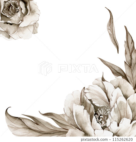 Hand drawn watercolor grisaille monochrome peony tulip rose flowers, buds and leaves. Border frame isolated on white background. Invitations, wedding or greeting cards, floral shop, print, textile Hand drawn watercolor grisaille monochrome peony tulip rose flowers, buds and leaves. Border frame isolated on white background. Invitations, wedding or greeting cards, floral shop, print, textile 115262620
